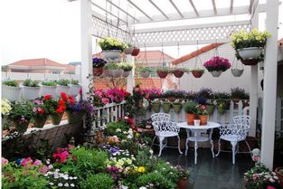 露台拱门种花攻略：浪漫温馨， 美得不像话