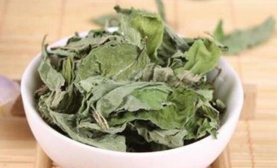 食用薄荷怎么选？不同品种的薄荷口感对比