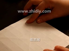 玫瑰花打法的浪漫之旅