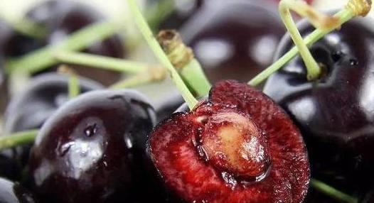 种樱桃核，就像养孩子一样