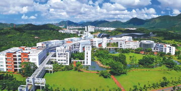 深圳市高山水生态园林股份有限公司：老牌实力派