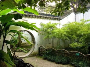 迎春园林应用中的植物特辑