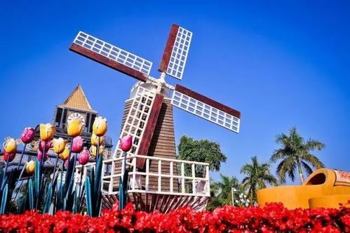 白兰：清新的东南亚风情