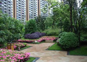 湿地植物的选择与配置