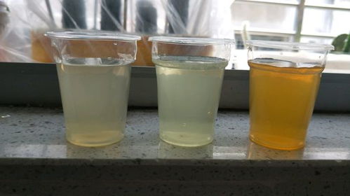 如何用醋和硫酸让养花土壤变酸？效果如何