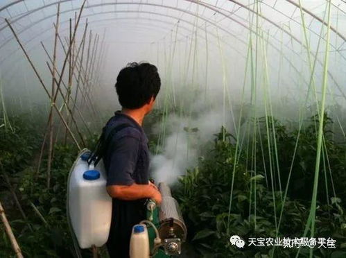粉剂的特性：散布与吐粉
