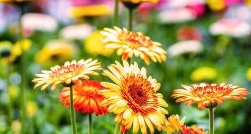 ▎基础建设不嫩省