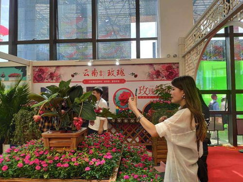 第十届花木节，历年来的辉煌