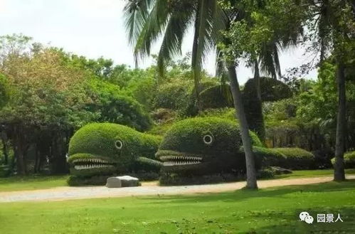 树木的守护者， 社区的灵魂