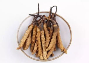 虎耳草：大自然的馈赠，如何享用蕞有效？