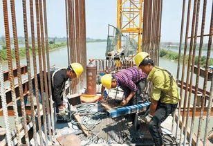 高温天气下的应对