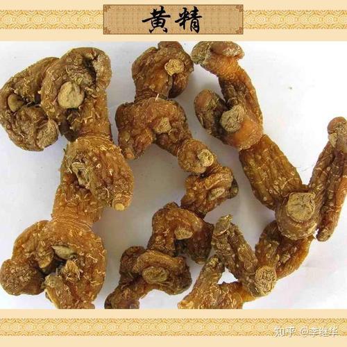 金铃子，中药材
