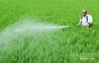 麦巨金组合， Neng和除草剂、杀虫剂、杀菌剂混配使用