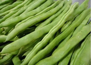 四季豆生吃会有哪些风险？如何确保四季豆生食的安全性
