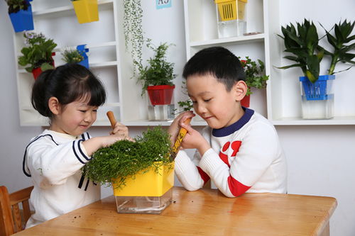 多样化的植物选择