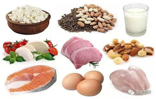 我国饲料蛋白需求量巨大，为何红烧肉供应受制于人，背后有何隐情？