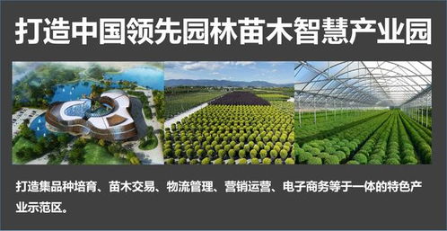 苗木市场的新篇章：未来5年苗木品种爆发式增长解析