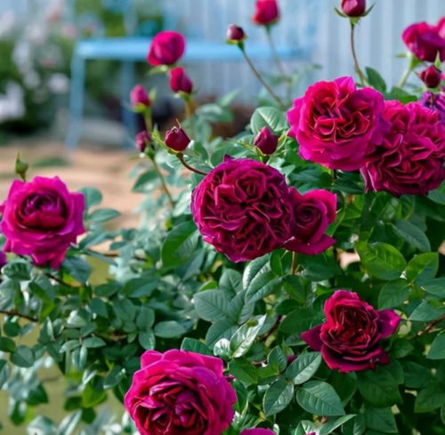 线上购物的便利性