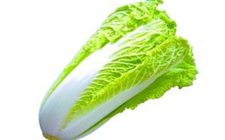 春天到， 白菜绿油油，可别让病虫害偷了光