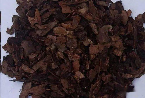 种植前的准备工作