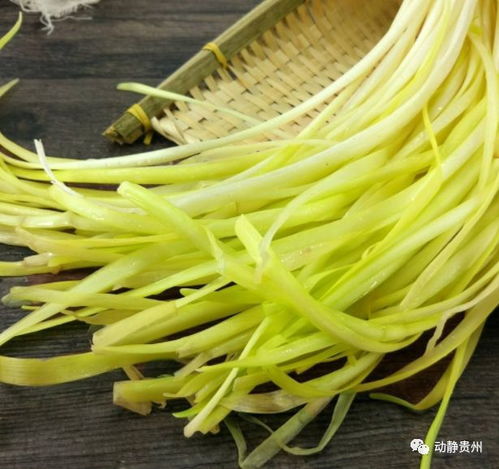 韭黄种植技术揭秘，你了解它的生长过程吗