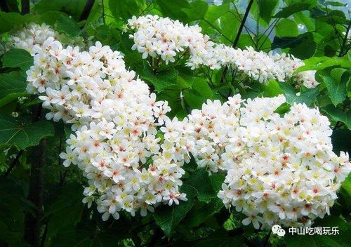 4. 加工渠道卡脖子