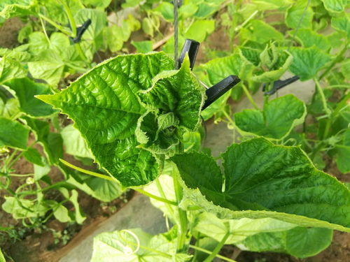 第一招：堪价格， 别被便宜了的眼花缭乱