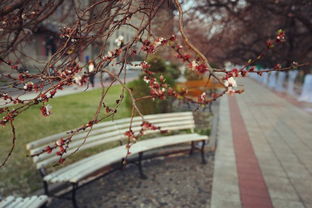 北方四月份的实用清单