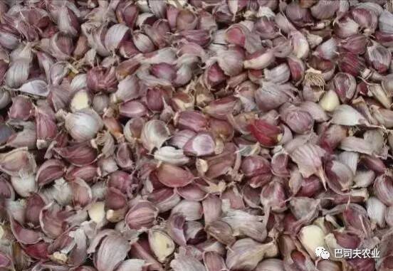 如何正确使用氟环唑？