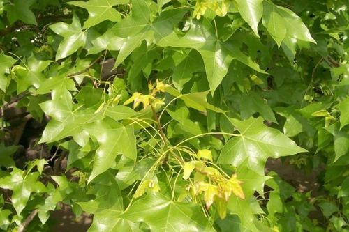 遇到特殊情况怎么办？