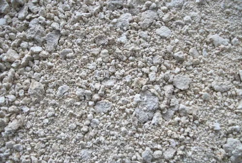 豆渣饲料发酵技术，在微生物发酵饲料领域，其市场现状如何？