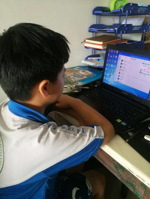 如何手把手学习母猪冲宫技巧：准备、流程、要点全解析？