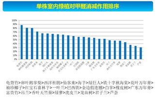 龙竹吸甲醛除PM2.5效果怎么样