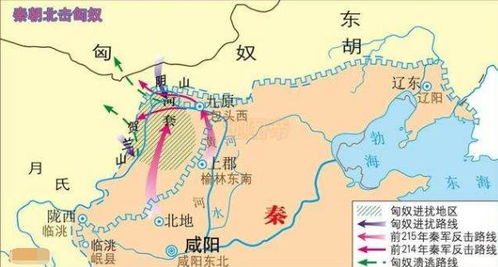 云南临沧云县今日猪价为何比周边地区差1元？三招如何省万元饲料成本？