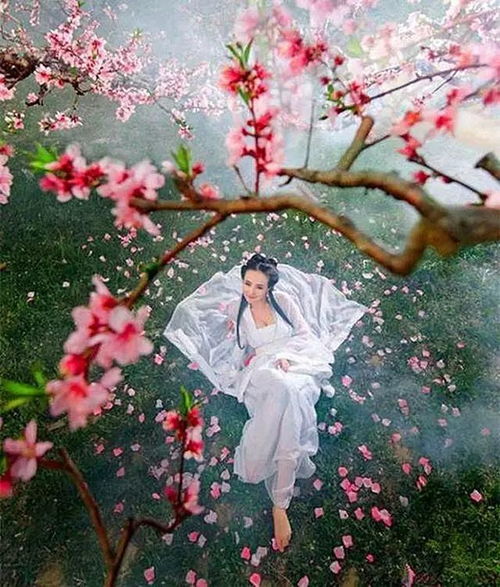 桃花盛开，相遇缘起