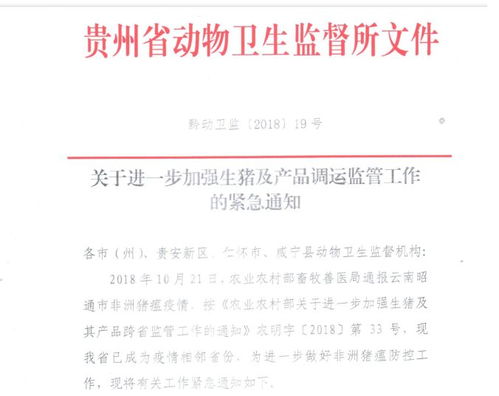 非瘟复产必看！查情配种操作指南