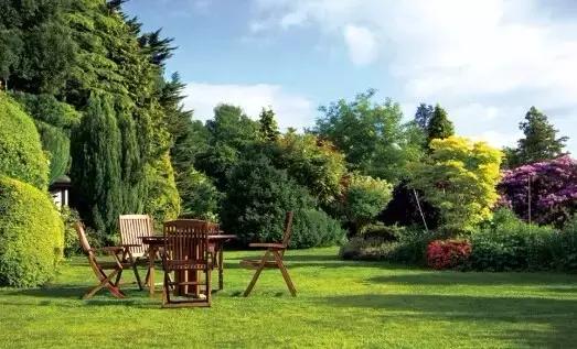 第二条：以人为本原则