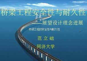 桥梁设计的迷茫之路