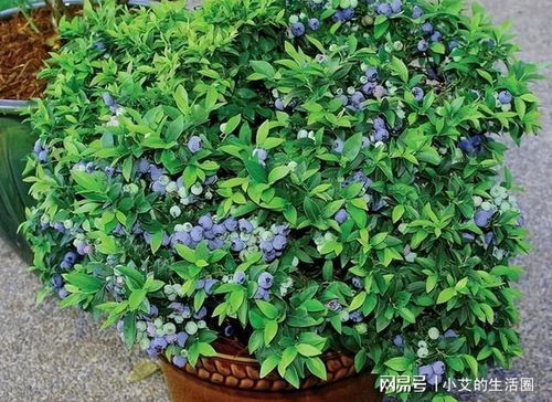 混合使用，平安吗？