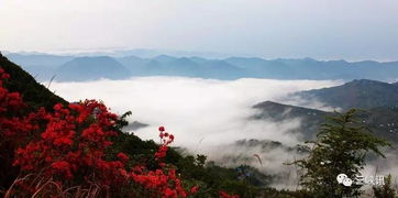 杜鹃山：名字背后的故事