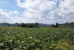 屋顶环境的特殊挑战