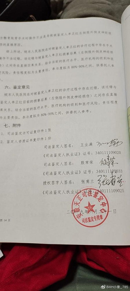 将星美人掉叶子，是何原因导致