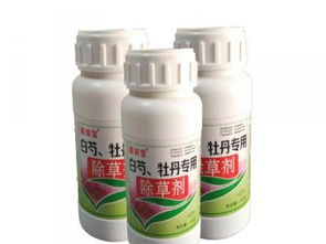封闭除草剂选什么药好？哪种药效更佳