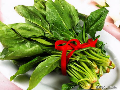 菠菜：冬日里的营养宝库
