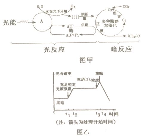 它们是如何相遇的
