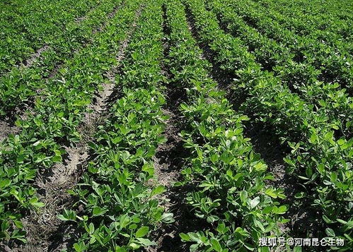 特殊时期， 特殊处理