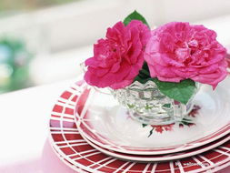 市场上热销的切花品种揭秘