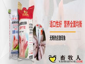 教保料、教槽料和保育料有什么具体区别？它们在饲料配方中的作用有何不同？
