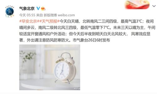 午后阳光，温暖的活力时刻