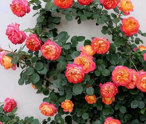 日常护理彳艮重要